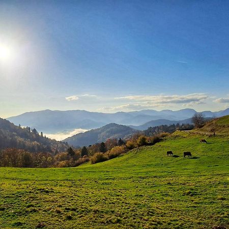 Chalet Notre Retraite Ventron Dış mekan fotoğraf