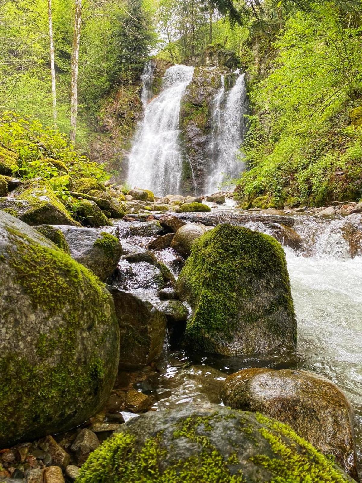 Chalet Notre Retraite Ventron Dış mekan fotoğraf