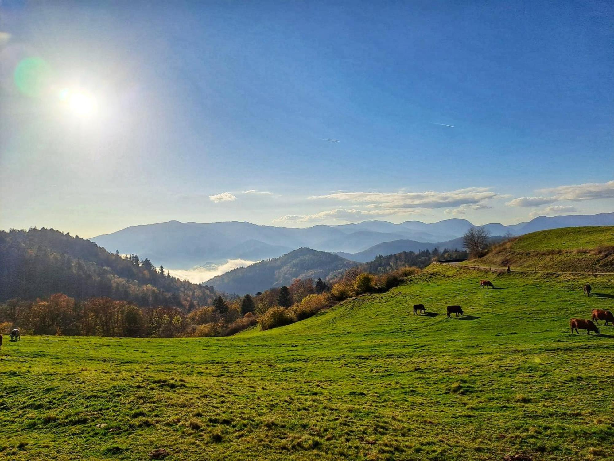 Chalet Notre Retraite Ventron Dış mekan fotoğraf