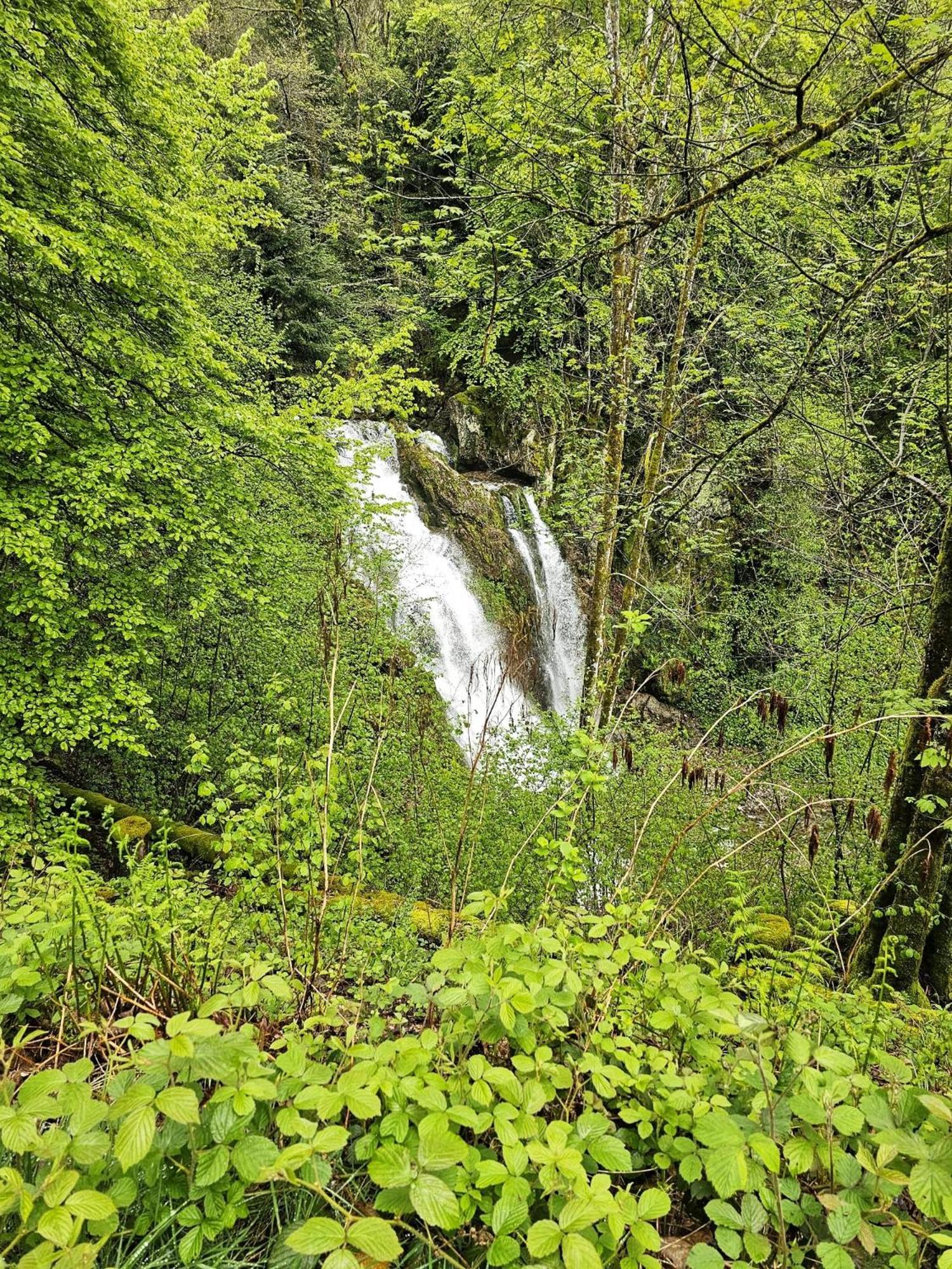 Chalet Notre Retraite Ventron Dış mekan fotoğraf